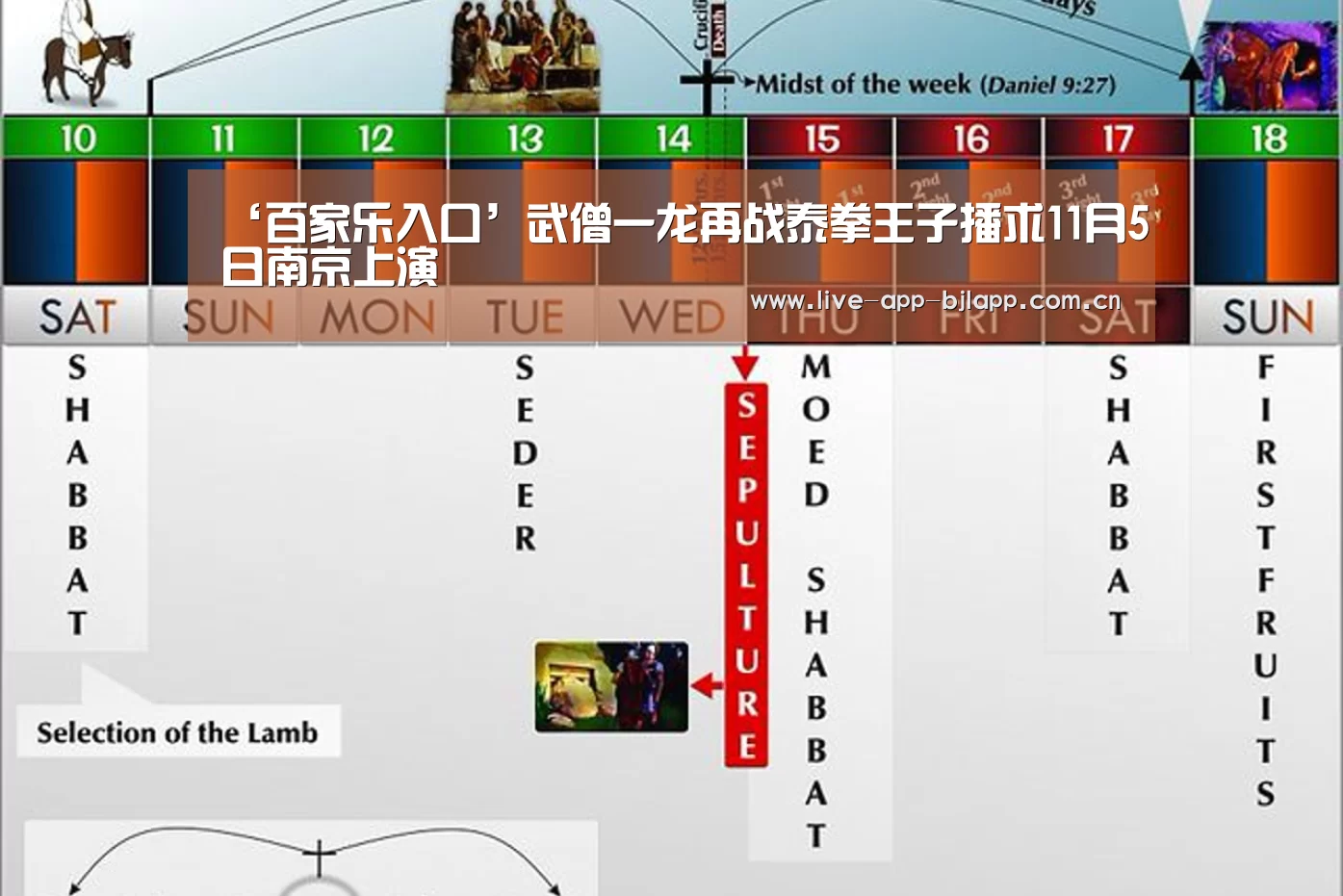百家乐入口